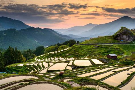  The Guardian of the Rice Fields 드라마틱한 조형미와 신비로운 상징주의!